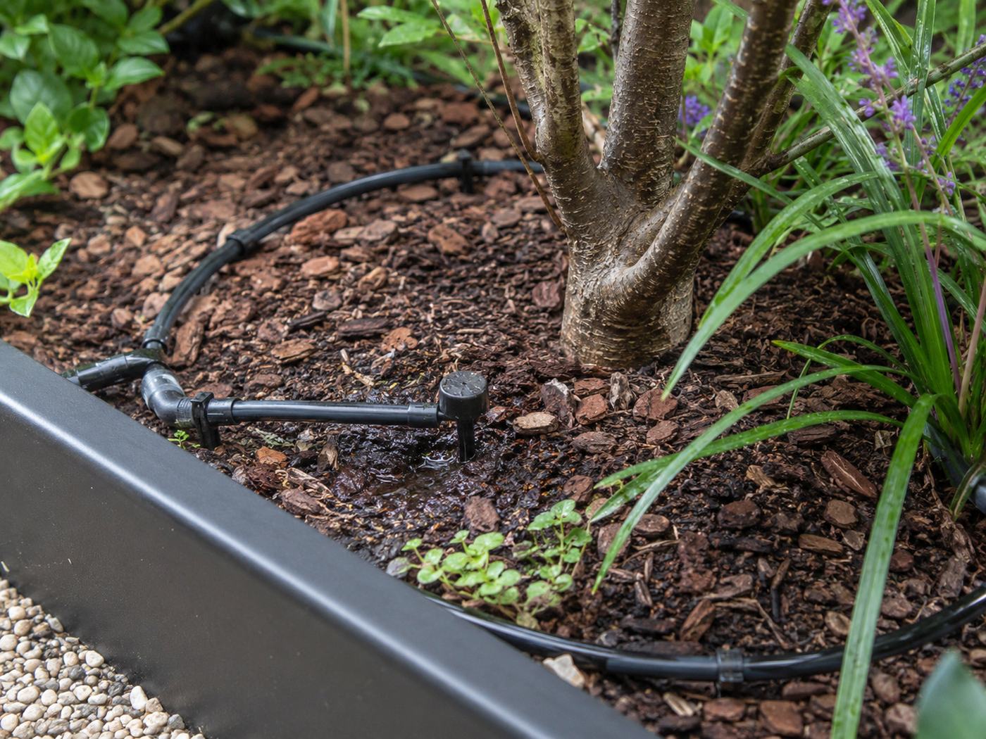 Druppelbevloeiing bij beplanting